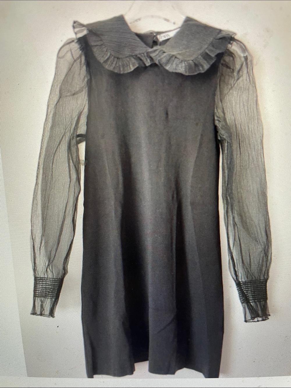 Zara Sheer Sleeve /Peter Pan Ruffle Collar Black knit Dress- new